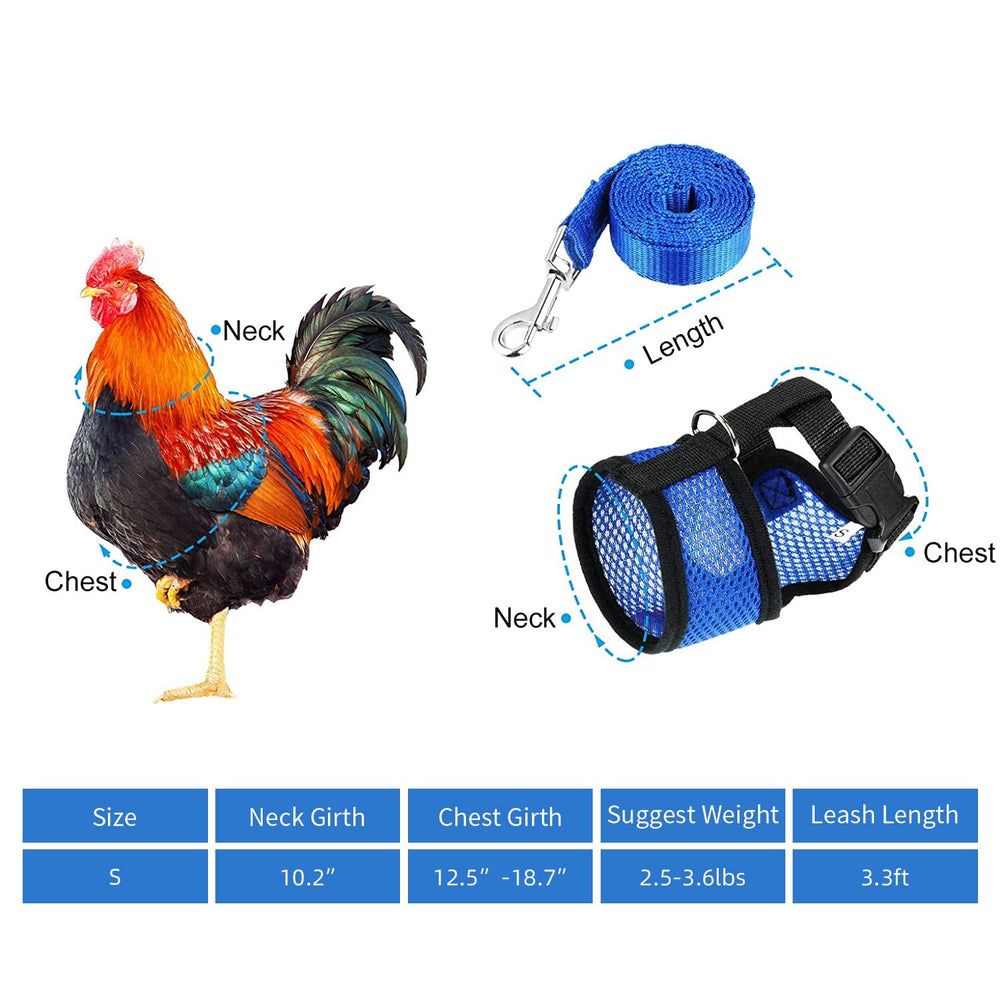 Harnais Arbootjin bleu pour poulet, vue postérieure, matière légère et ajustable.