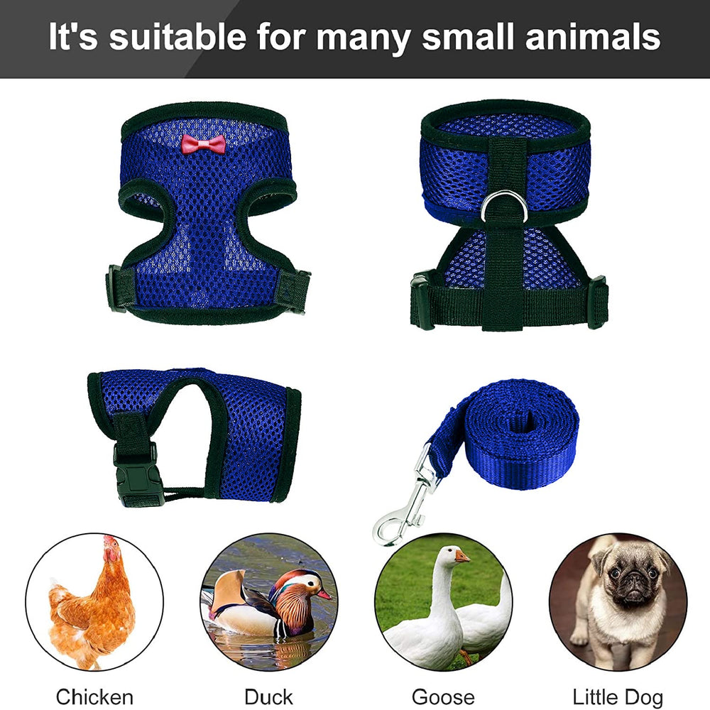 Laisse Arbootjin bleu pour poulet, longueur d'un mètre, pratique en extérieur.
