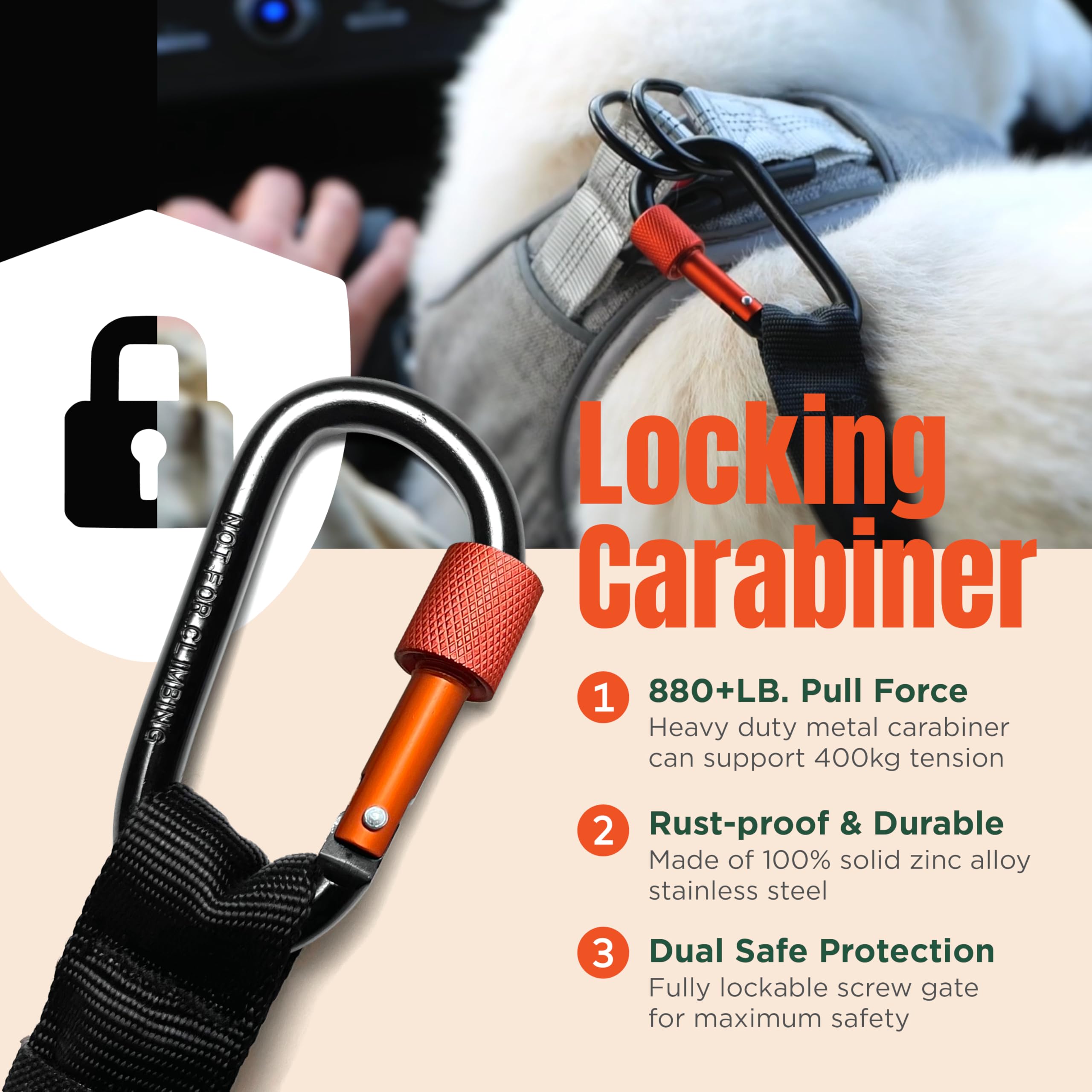 ARCA PET ceinture chien voiture boucle securite pour fixation rapide