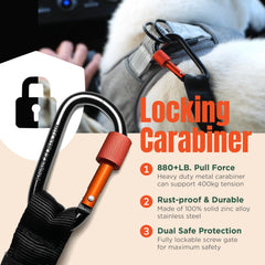 ARCA PET ceinture chien voiture boucle securite pour fixation rapide