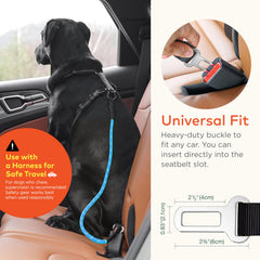 ARCA PET ceinture chien voiture double boucle: fixation polyvalente sur sièges