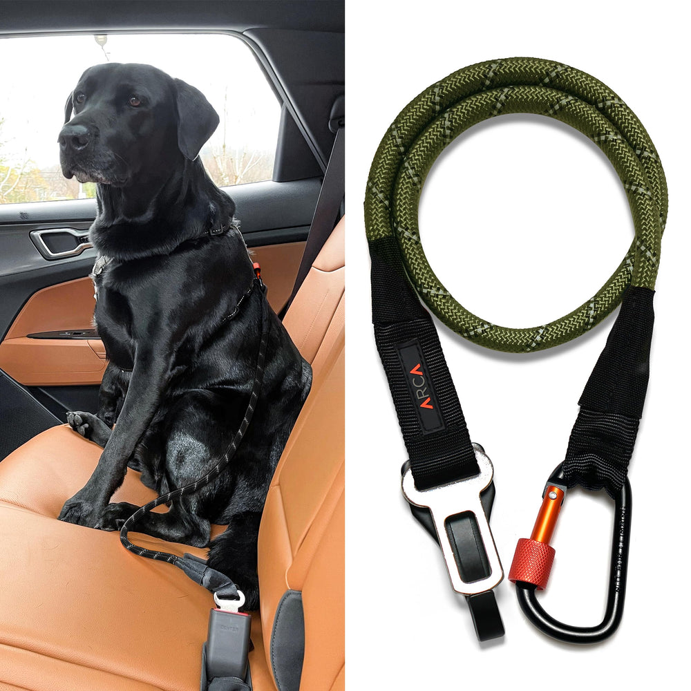 ARCA PET ceinture chien voiture reflechissante pour visibilite nocturne et securite