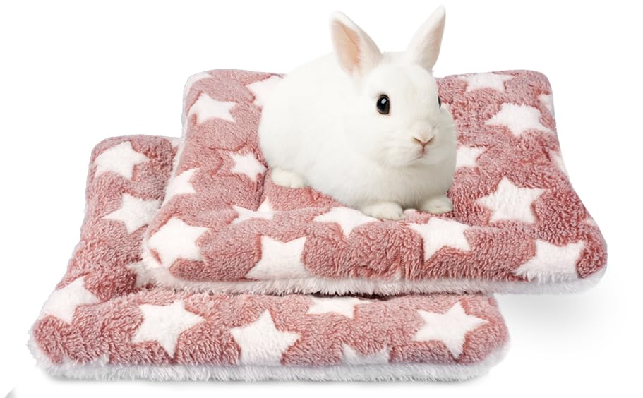 ARCTIC EAGLE tapis couchage lapin 2-pack, confort quotidien assuré.