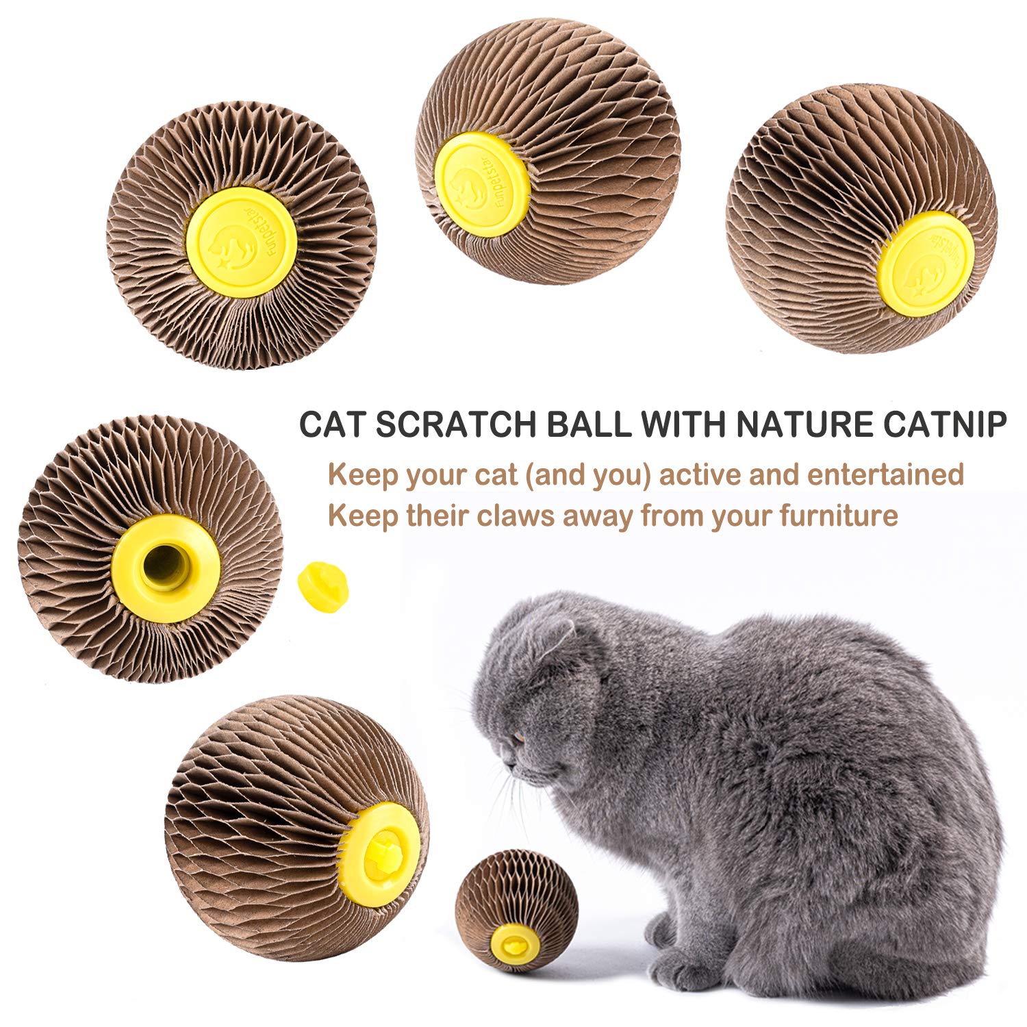 AREIIA Balle Catnip Chat – matériau carton écologique et durable.