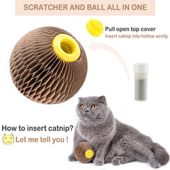 AREIIA Balle Catnip Chat – chat renifle l’arôme naturel et explore le jouet.