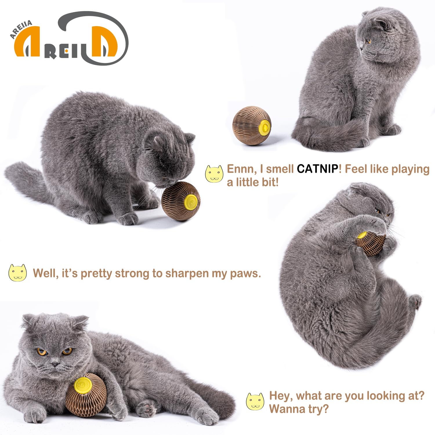 AREIIA Balle Catnip Chat – ouverture facilitant le remplissage du catnip.