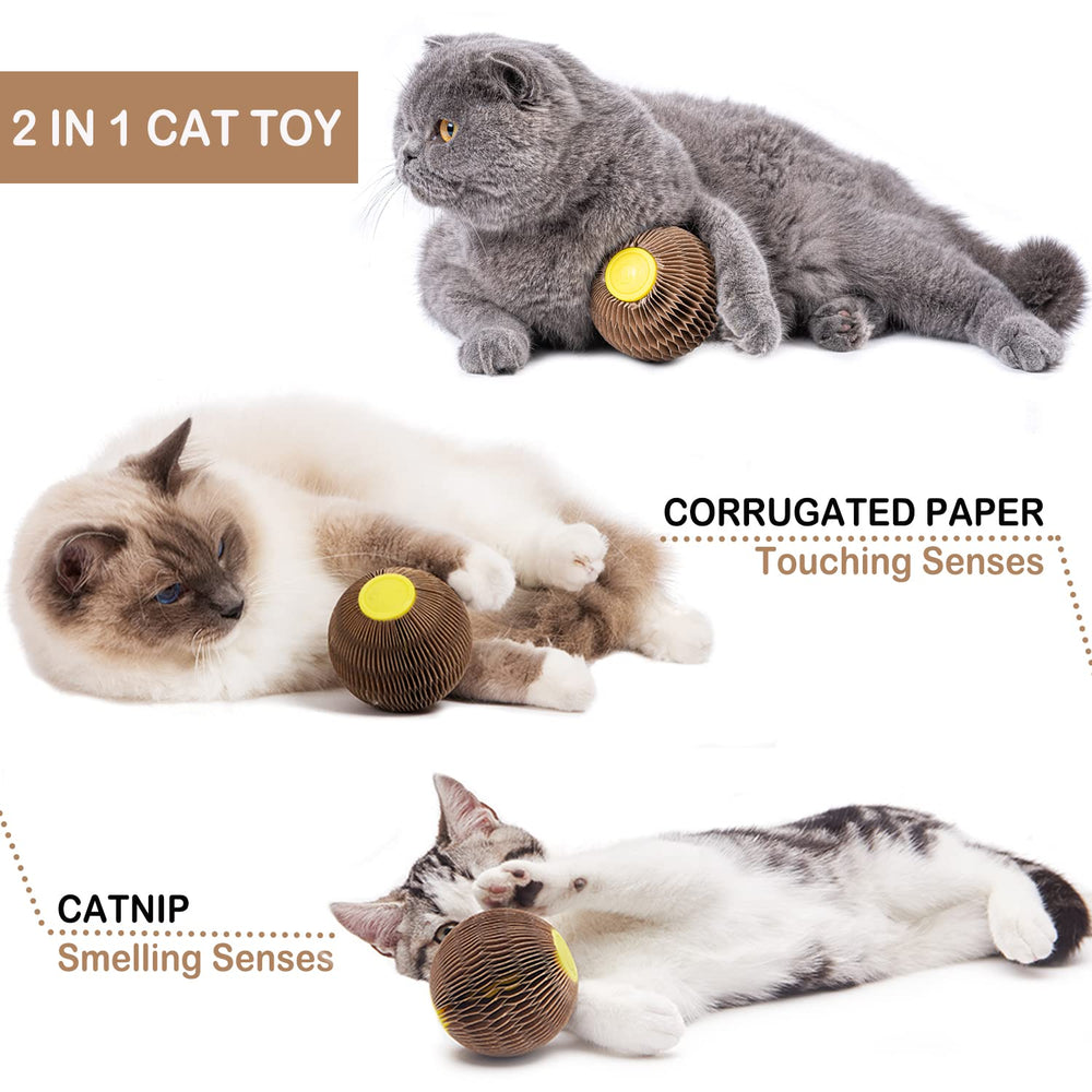 AREIIA Balle Catnip Chat – carton recyclé et surface grattante écologique.