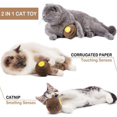 AREIIA Balle Catnip Chat – carton recyclé et surface grattante écologique.