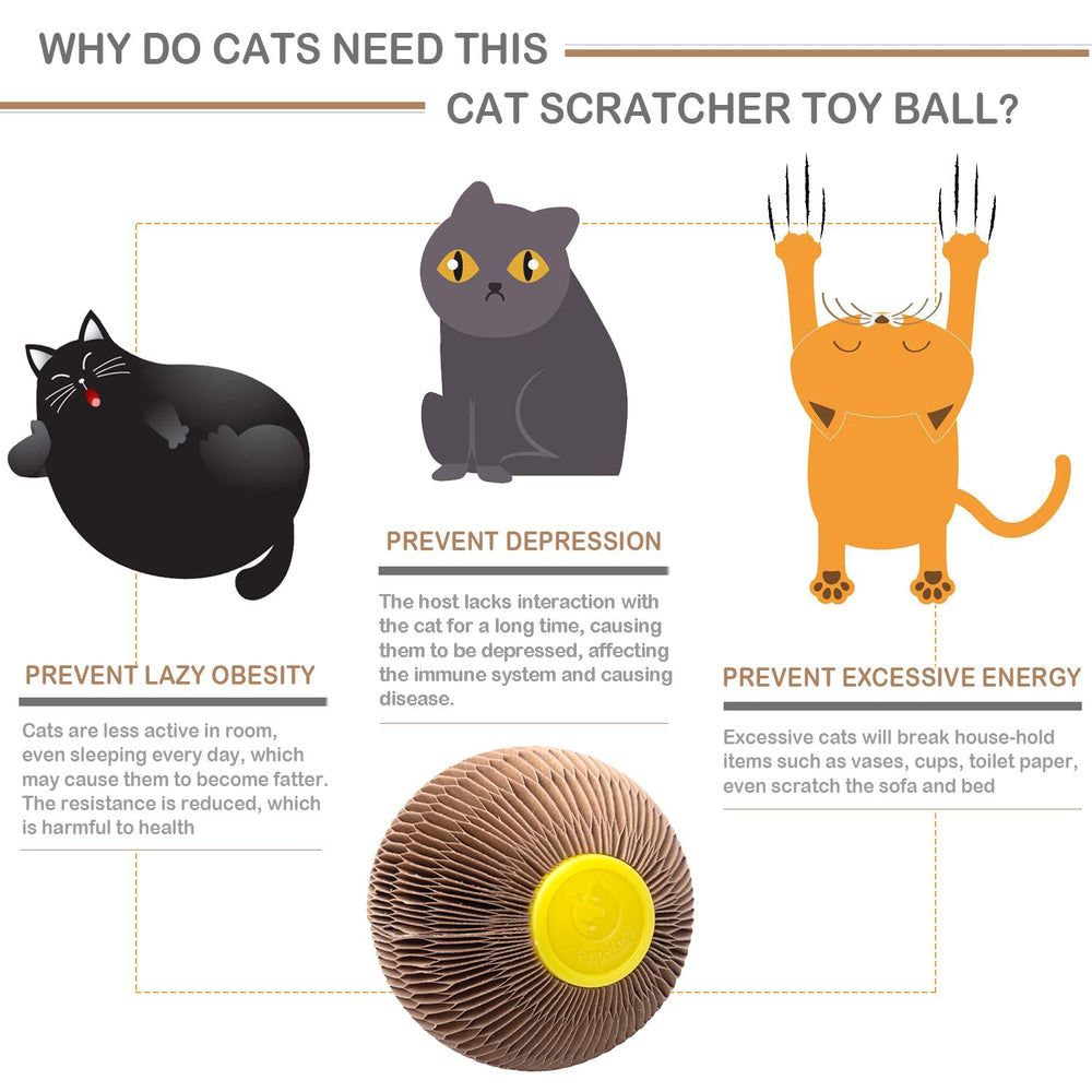 AREIIA Balle Catnip Chat – utilisation idéale en intérieur pour chats actifs.