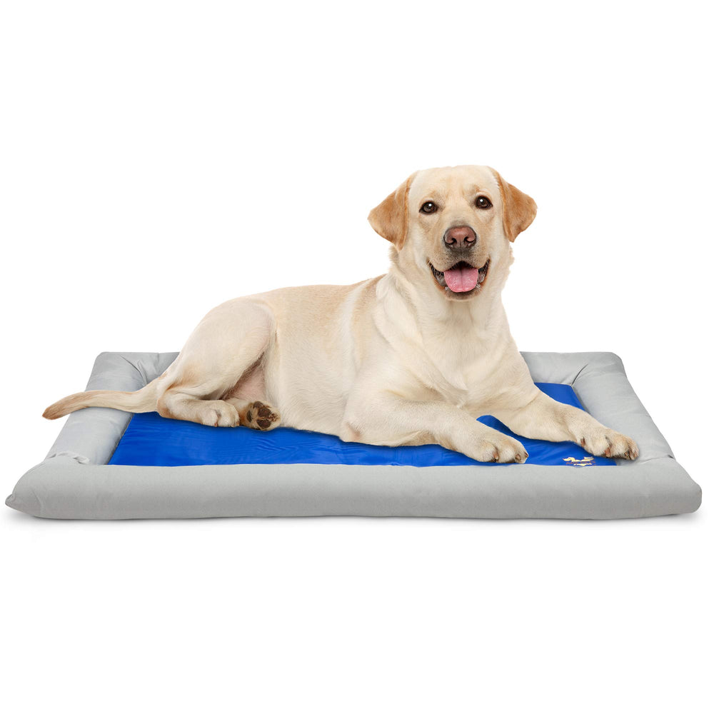 Arf Pets Tapis rafraîchissant en gel solide, chaleur maîtrisée pour votre chien.