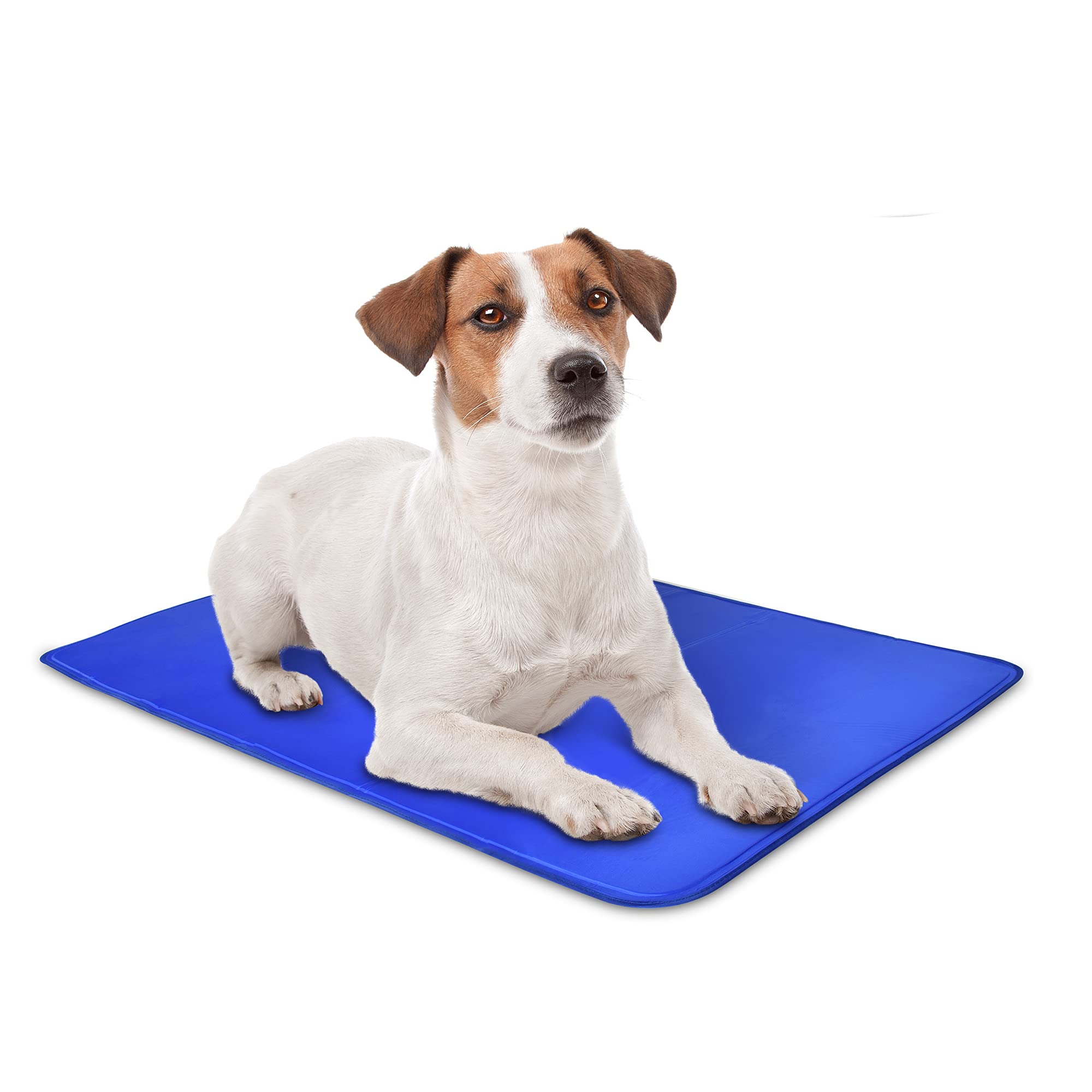 Arf Pets tapis refroidissant dans caisse, chien détendu et au frais