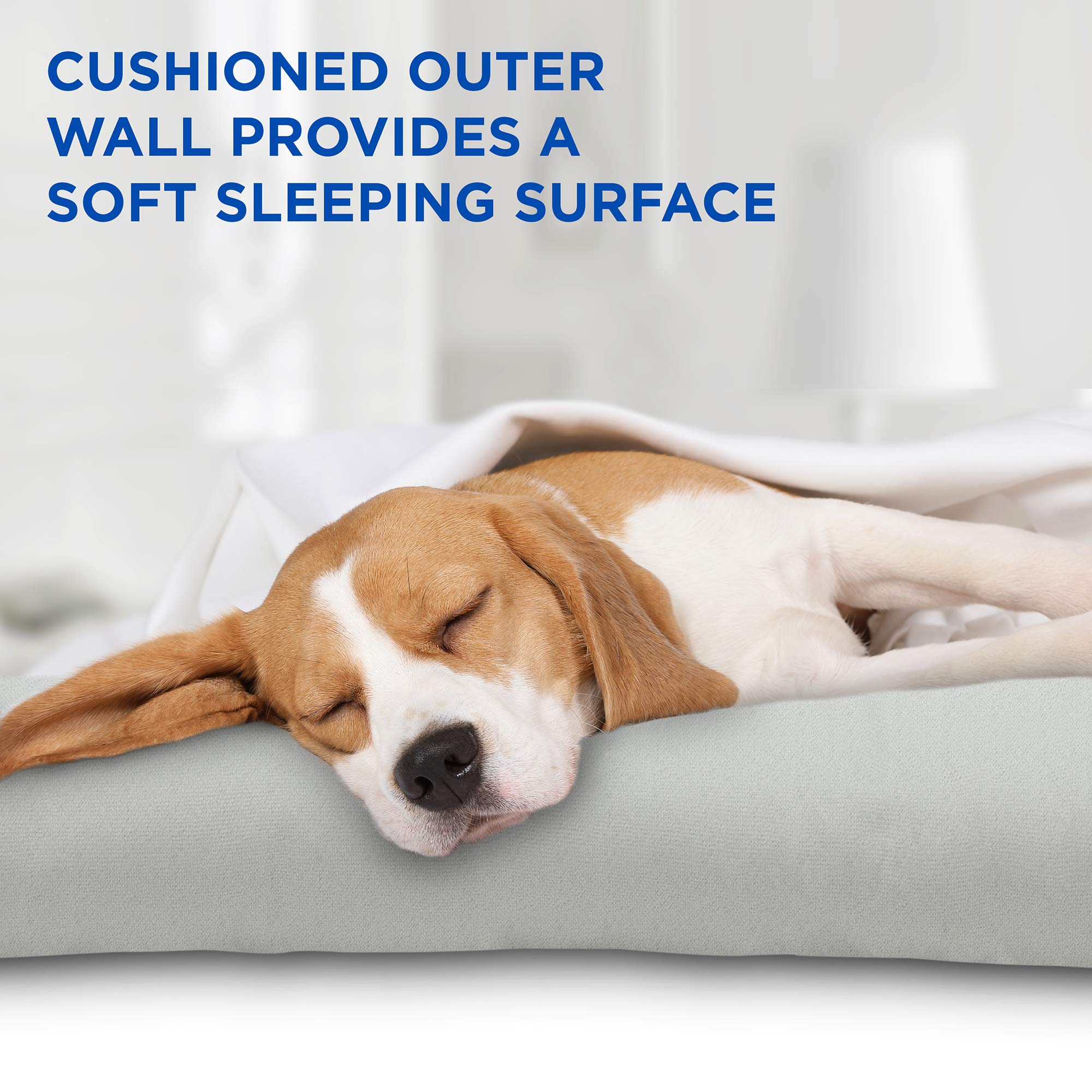Arf Pets Tapis sans eau ni électricité, solution simple et pratique.