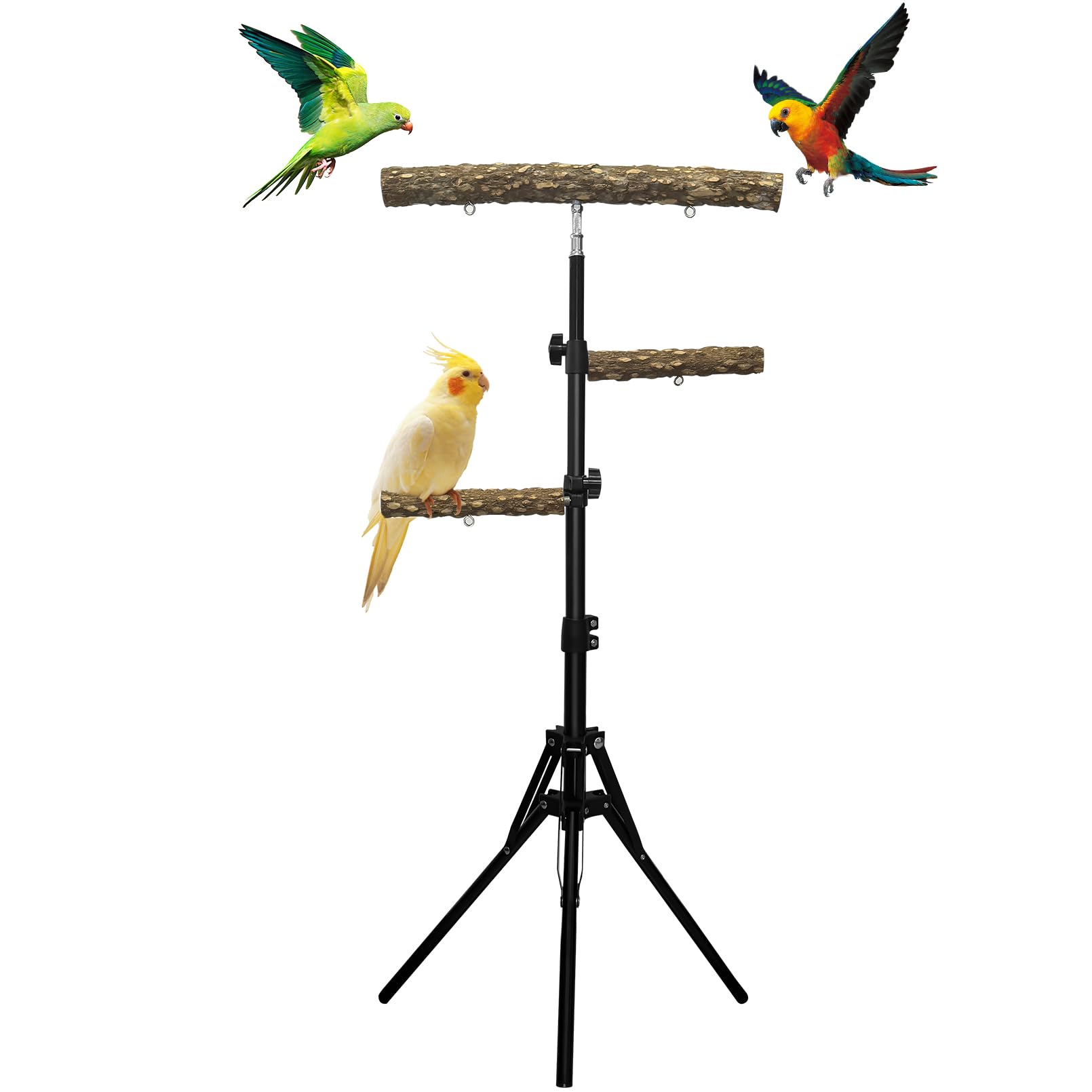 Arfubye perche oiseaux trois niveaux : espace d'exploration riche et sécurisée.