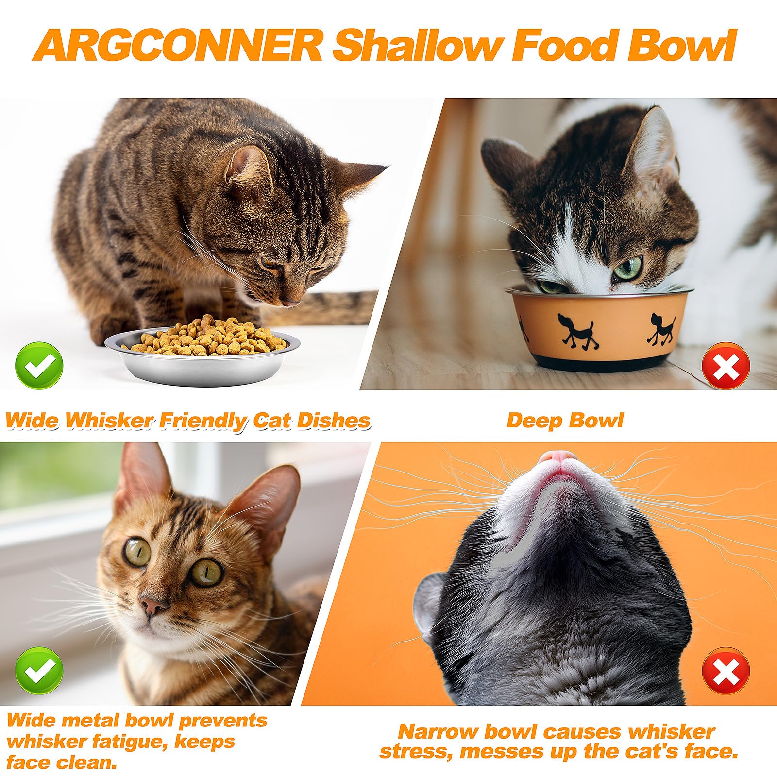 ARGCONNER bol polyvalent – pour eau et nourriture, idéal pour petits animaux.