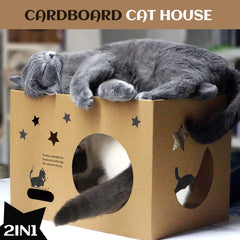 ARGOPET espace ample 17x12x12 pouces: entrée spacieuse adaptée aux chats corpulents.