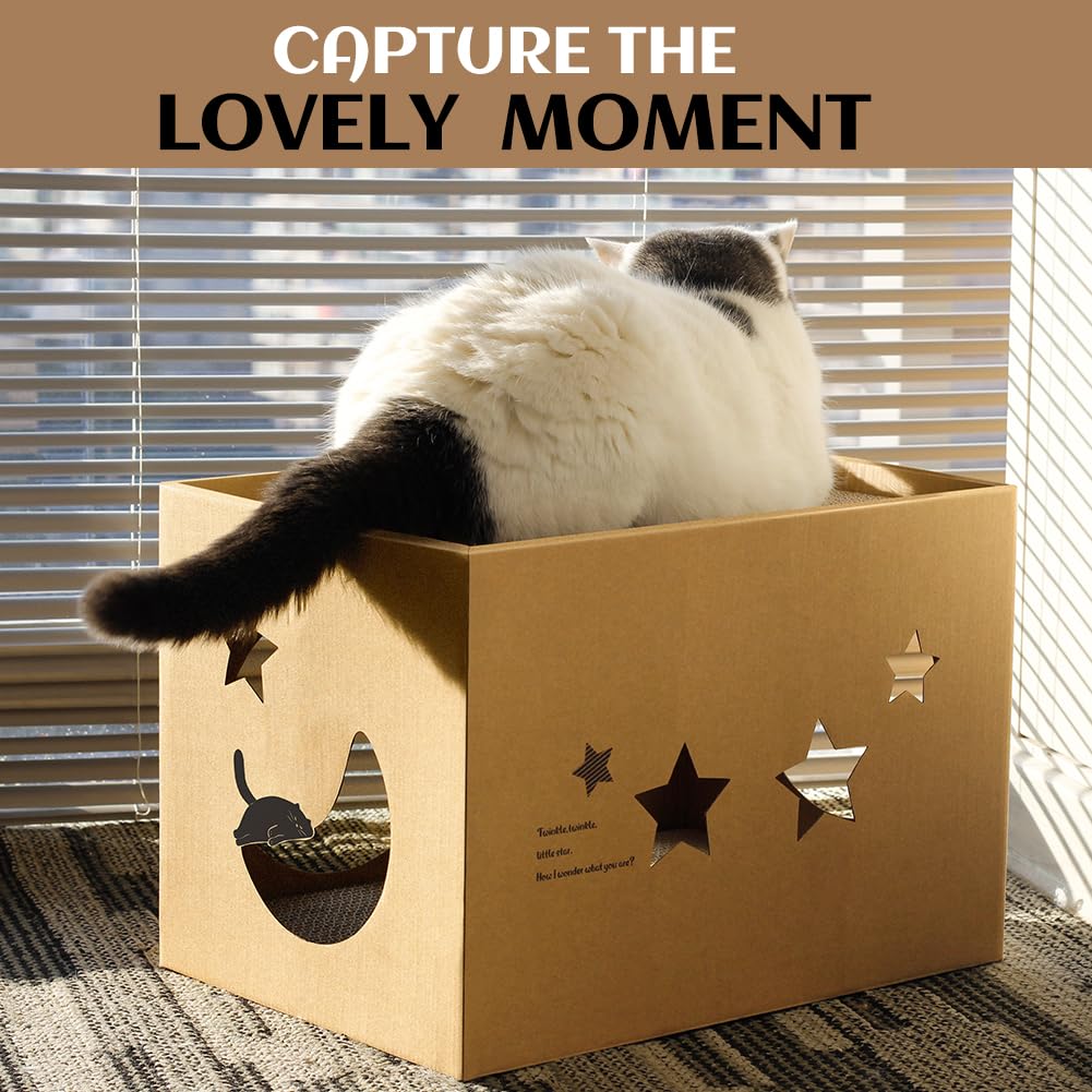 ARGOPET senteur herbe chat attire: attire les chats et encourage le griffage.