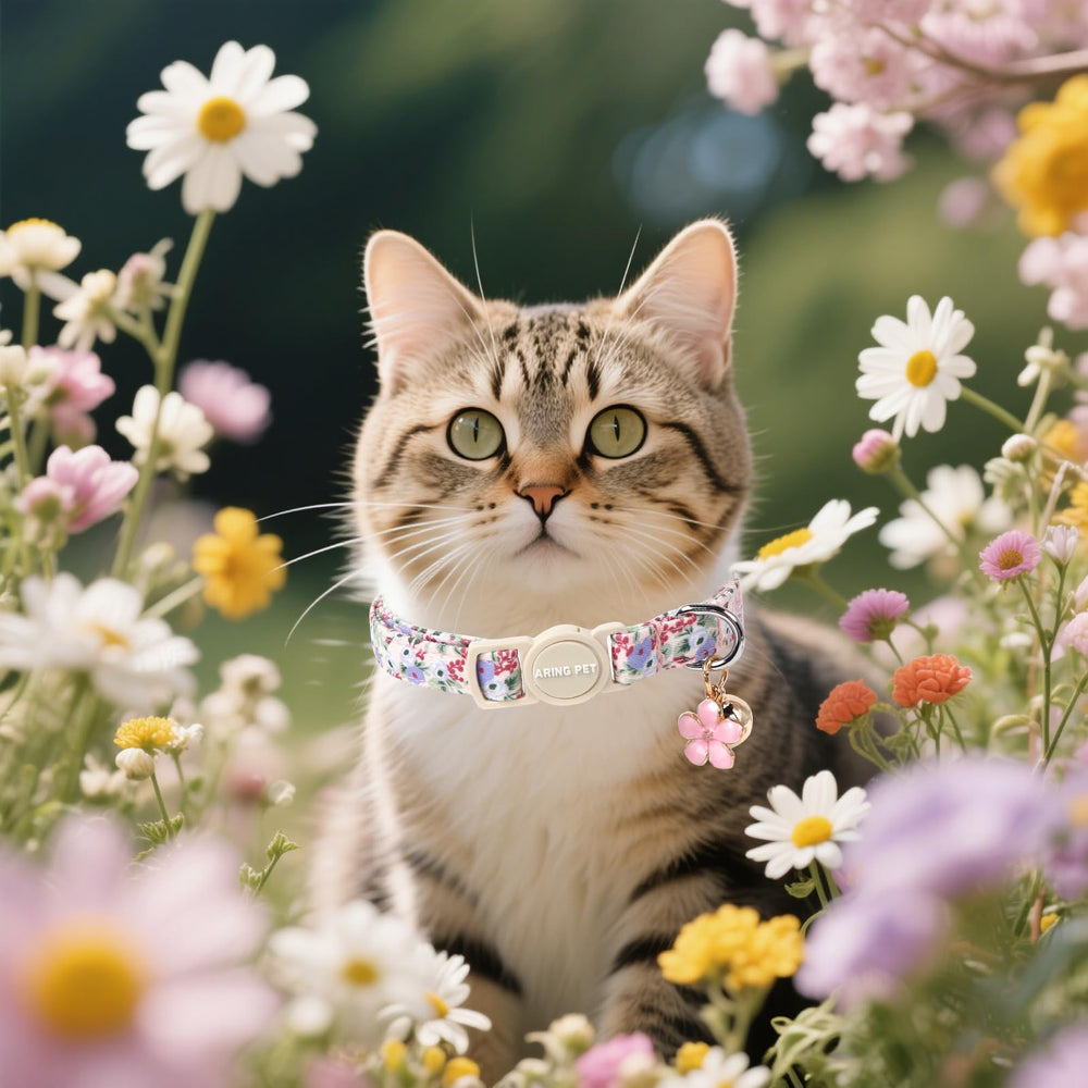 Collier chat nettoyage a la main ARING PET – entretien simple.