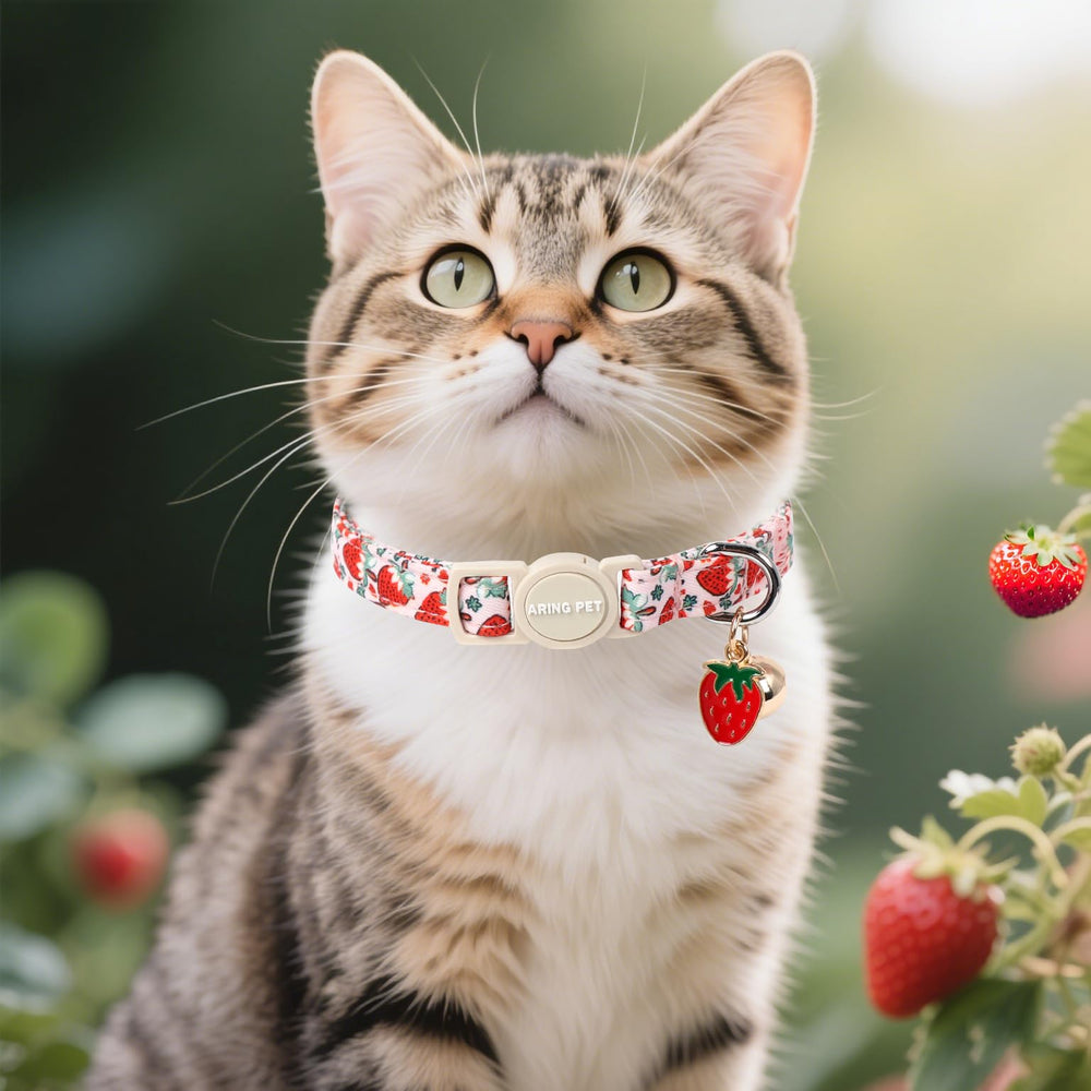 Collier chat style quotidien ARING PET – parfait pour photos et sorties.