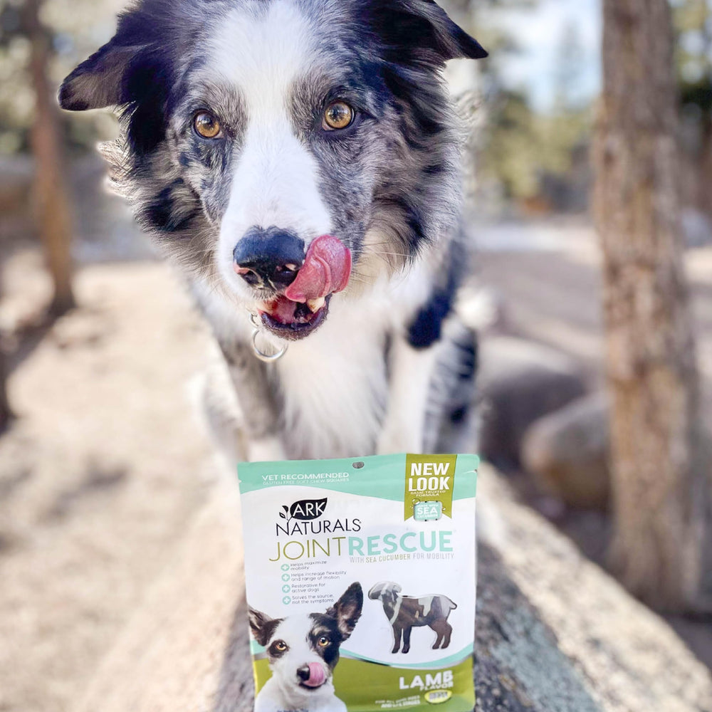 Ark Naturals Joint Rescue texture agréable lors de l’administration