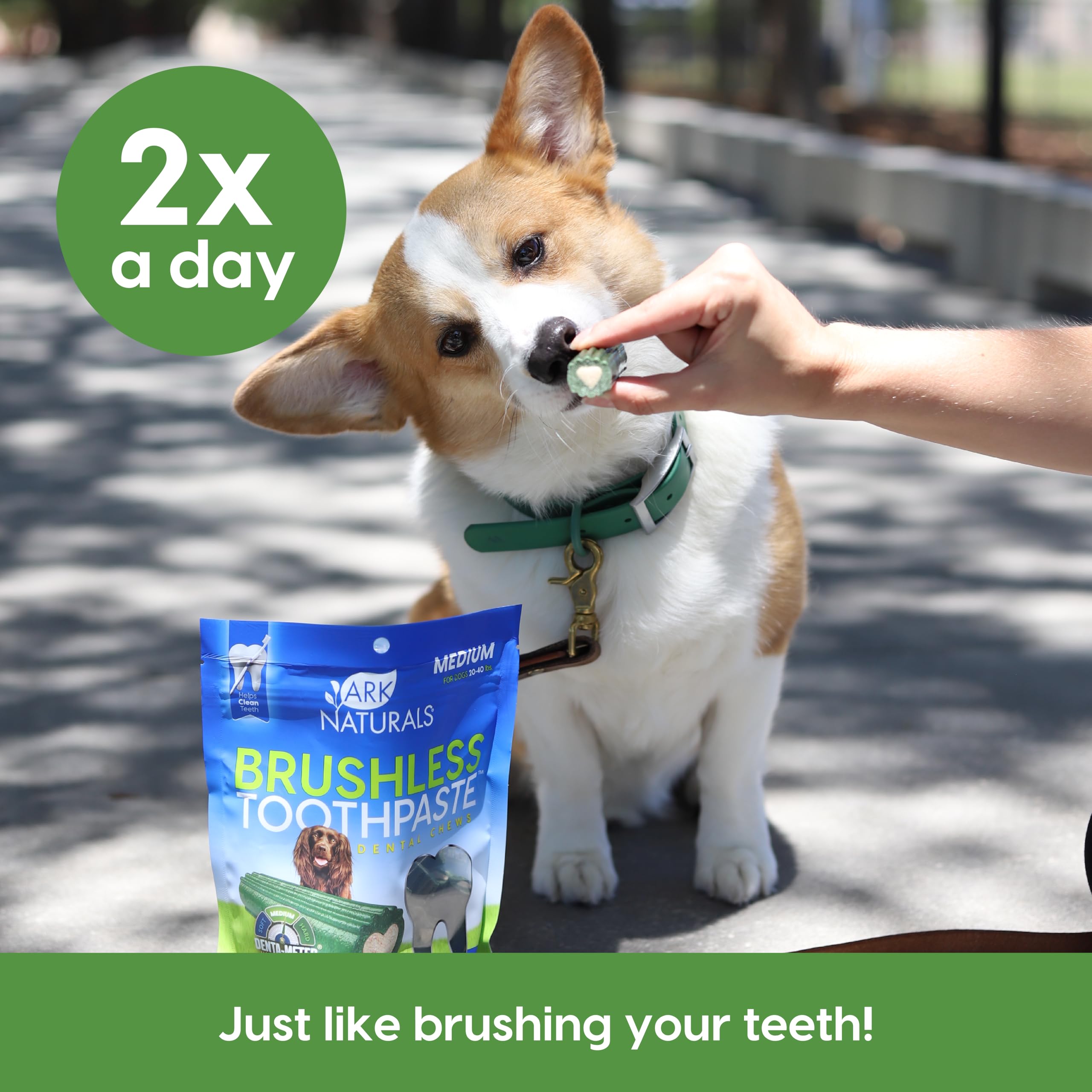 Conçu pour chiens de taille moyenne Ark Naturals Brushless Toothpaste