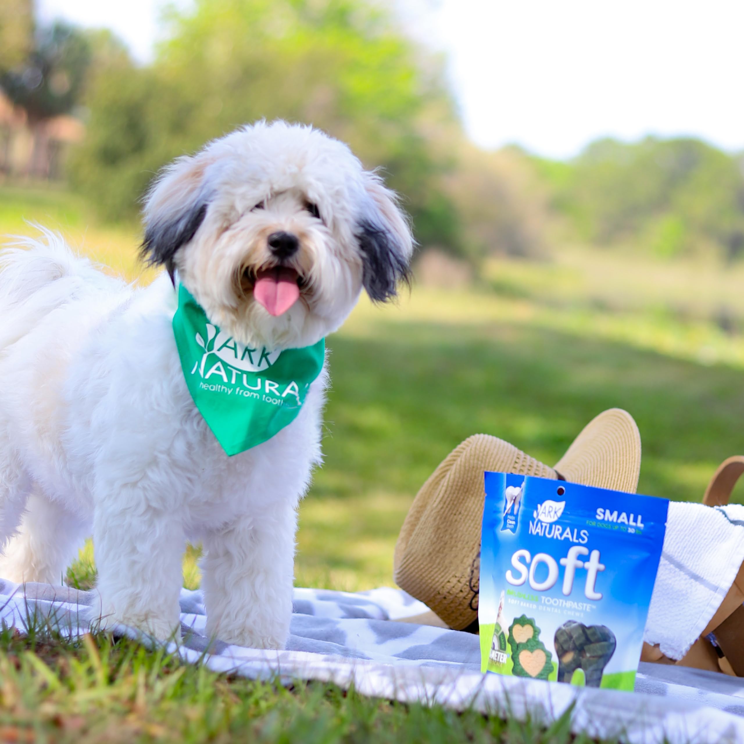 Ark Naturals utilisation quotidienne facile pour les chiens de petites races