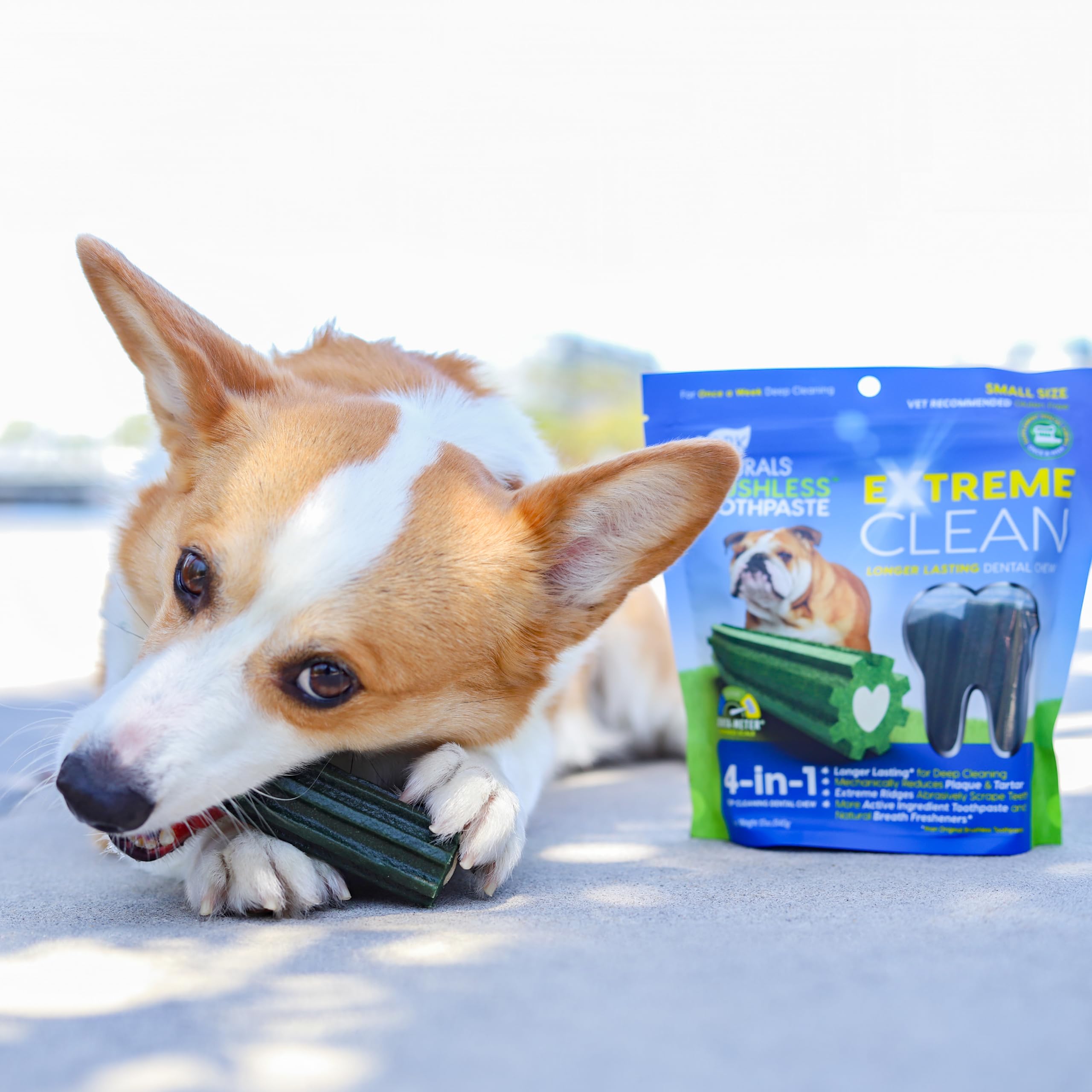 Ark Naturals Extreme Clean utilisation hebdomadaire pour petits chiens.
