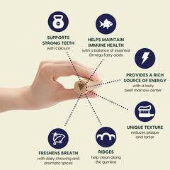 ARK NATURALS Fortify centre-marrow-boeuf – centre énergisant lors du mâchage.