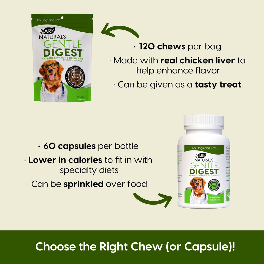 ARK NATURALS Gentle Digest : bol chien, intégration facile dans la routine.