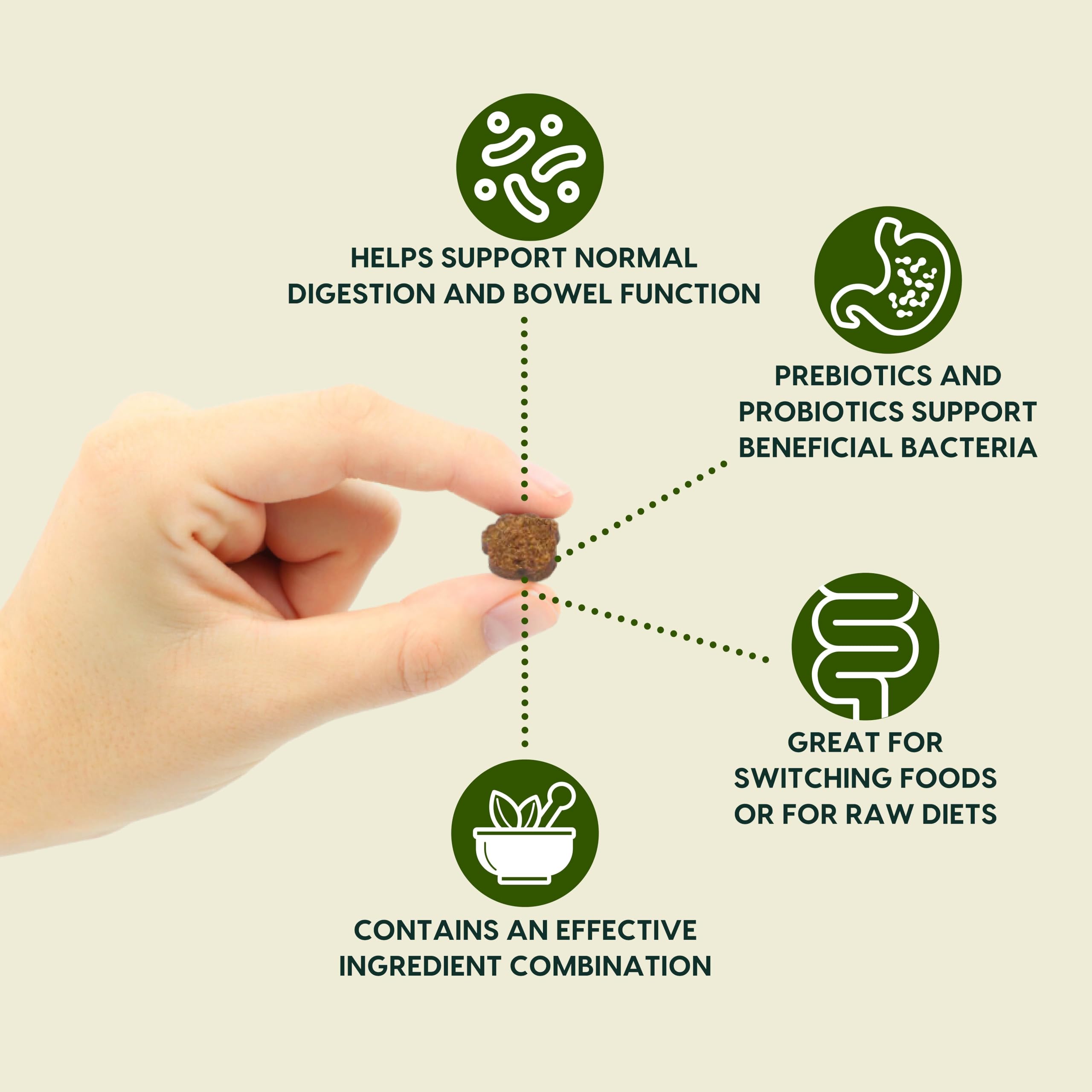 ARK NATURALS Gentle Digest : étiquette ingrédients, prébiotiques utiles.
