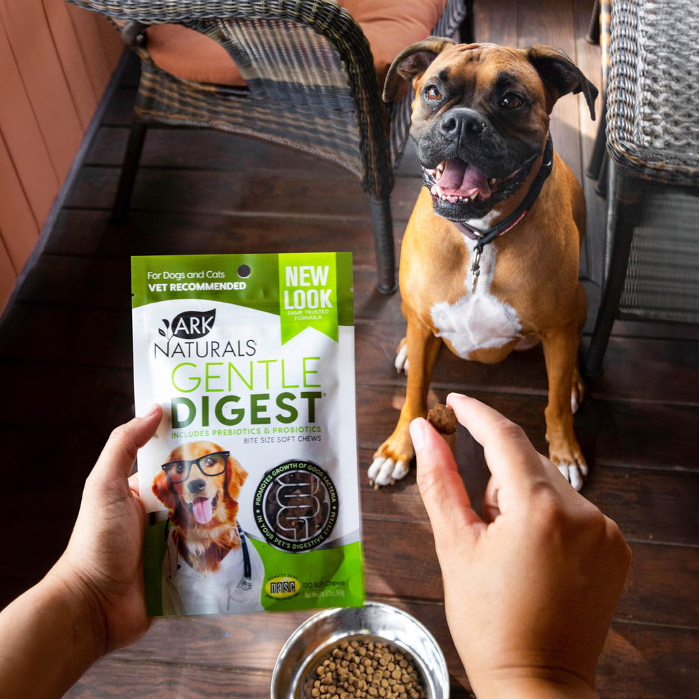 ARK NATURALS Gentle Digest : usage quotidien pour la digestion et le bien-être.