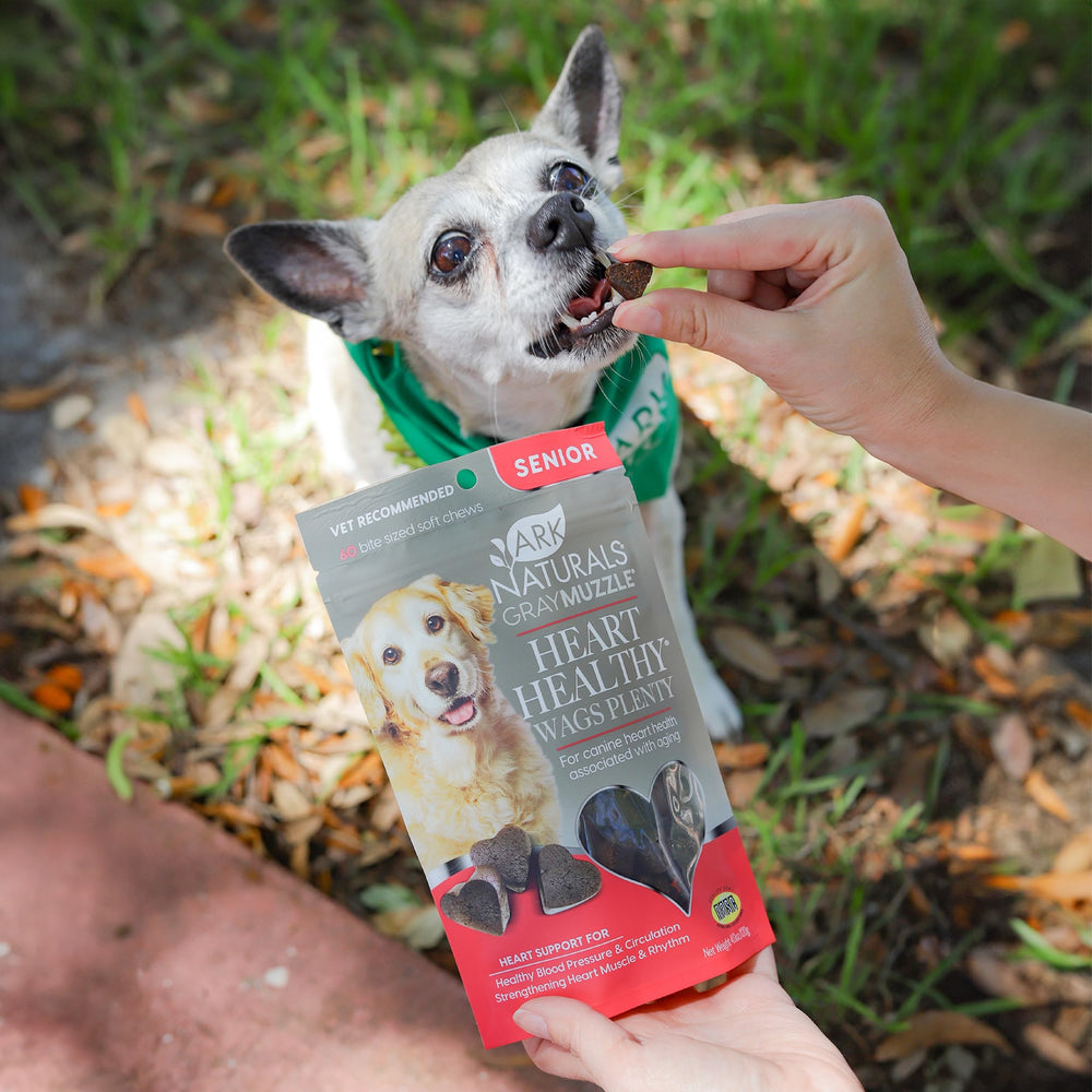 ARK NATURALS Gray Muzzle – boîte ouverte montrant le produit prêt à être donné.