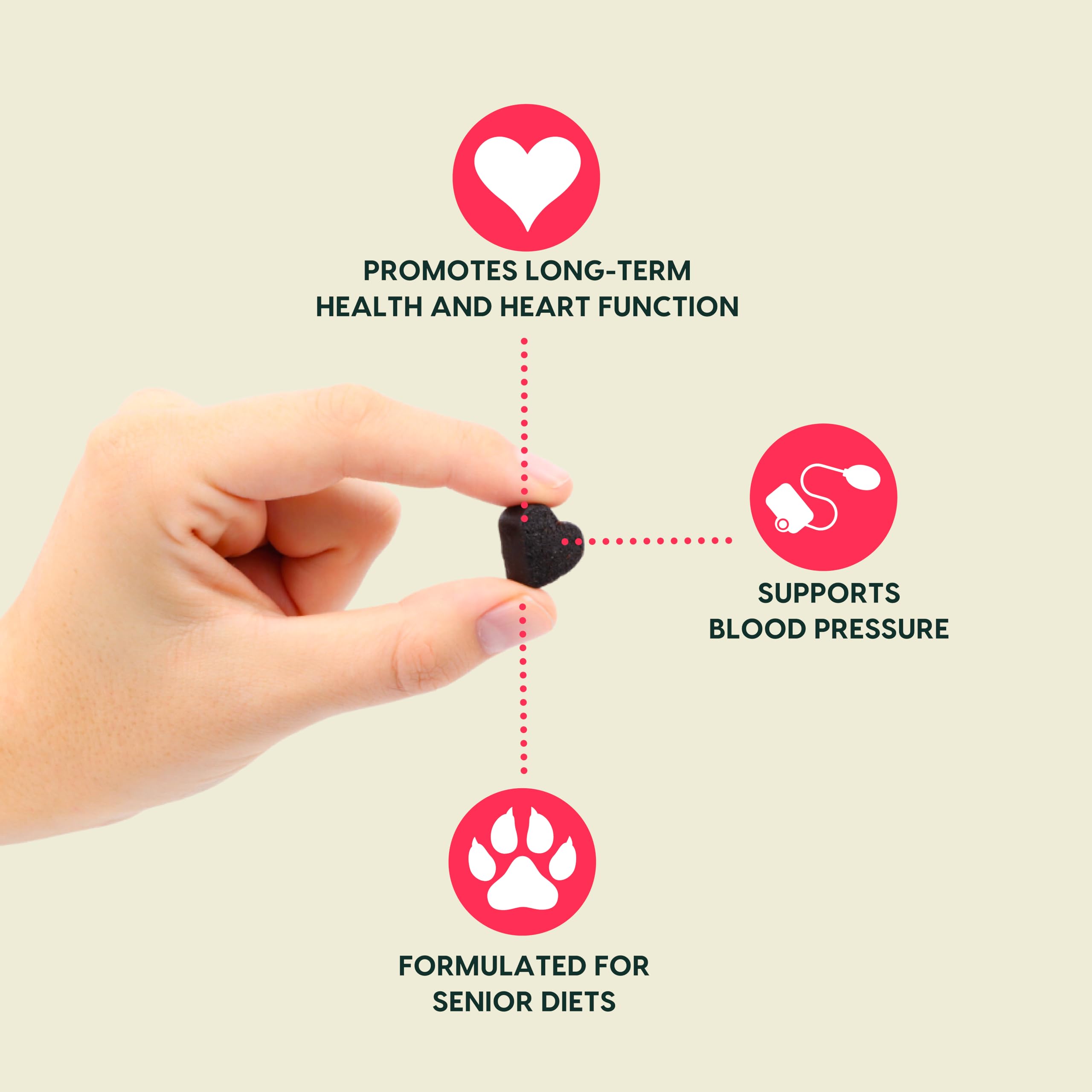 ARK NATURALS Gray Muzzle – chien senior recevant les friandises, routine quotidienne possible.