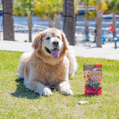 ARK NATURALS Gray Muzzle – friandises molles attractives, format pratique pour chiens âgés.