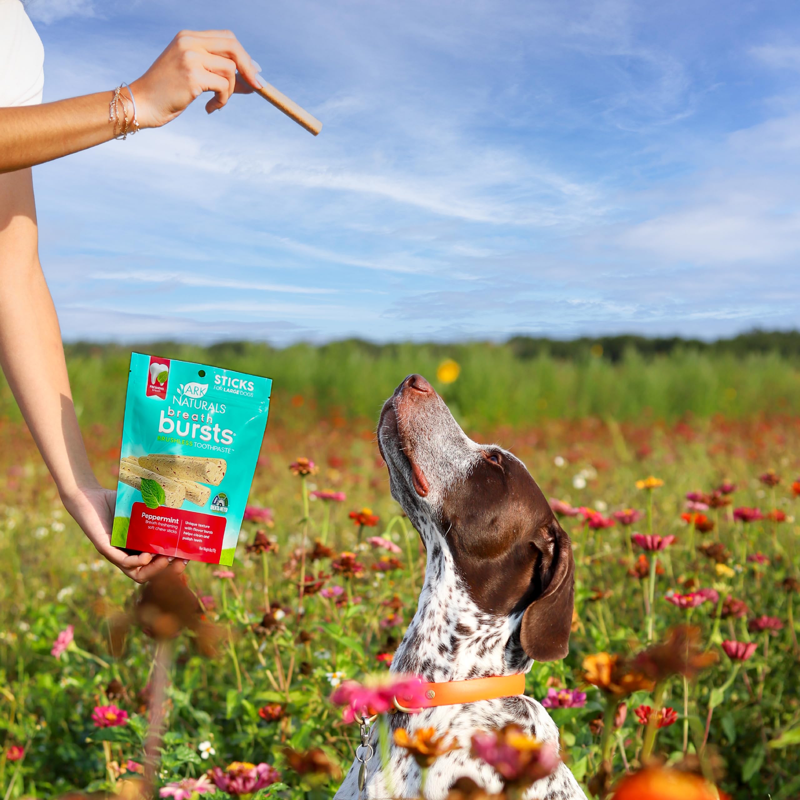 Ark Naturals Breath Bursts: solution de récompense complétant le protocole dentaire.