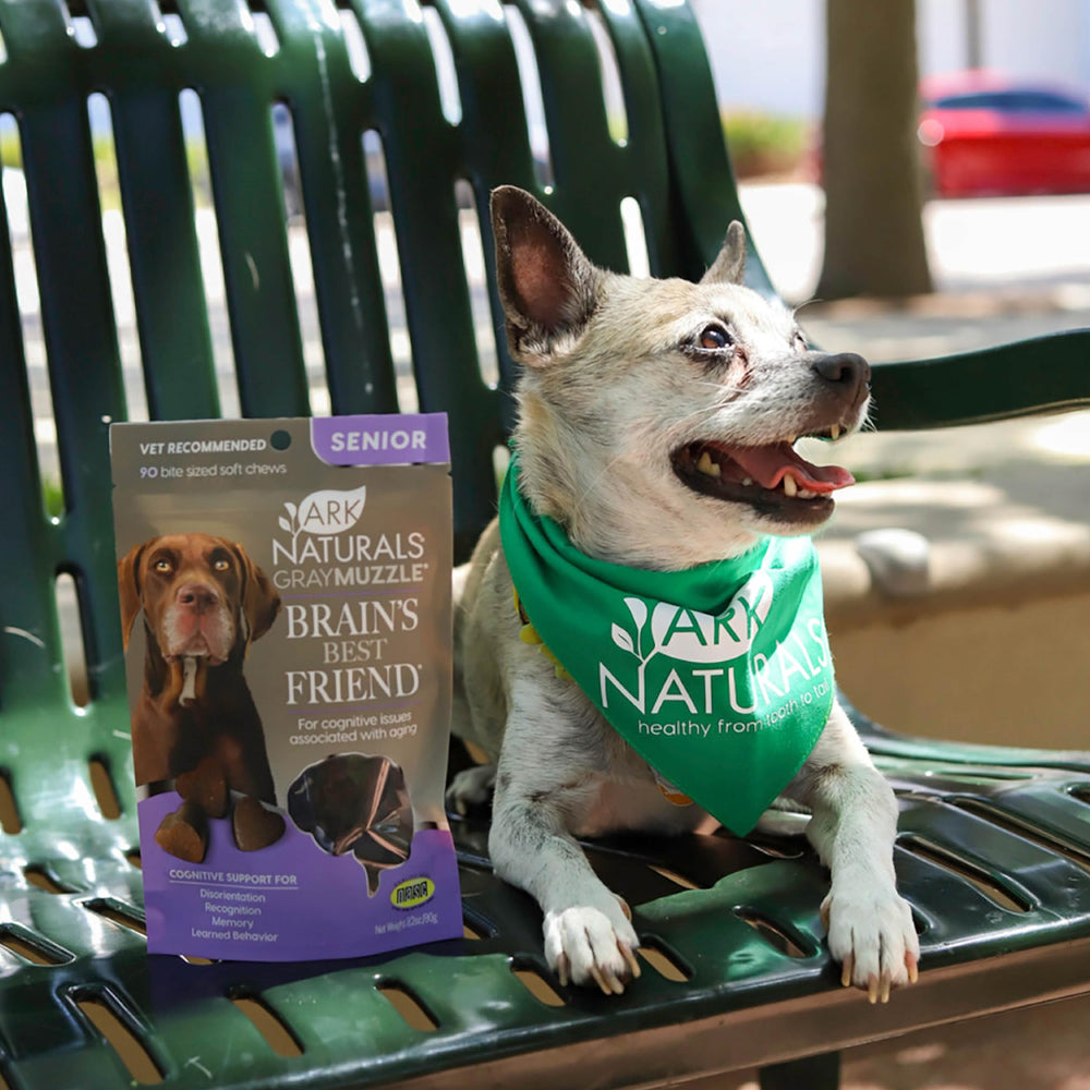 Ark Naturals Museau Gris - chien heureux après administration quotidienne