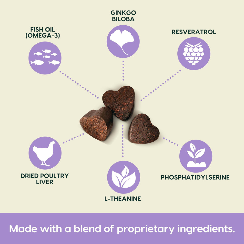 Ark Naturals Museau Gris - ingrédients naturels et nutriments pour le cerveau canin