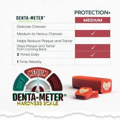 ARK NATURALS Protection Plus barrière protectrice pour dents et gencives.