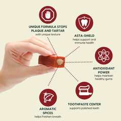 Ark Naturals Protection+ centre dentifrage visible, pratique et nettoyant