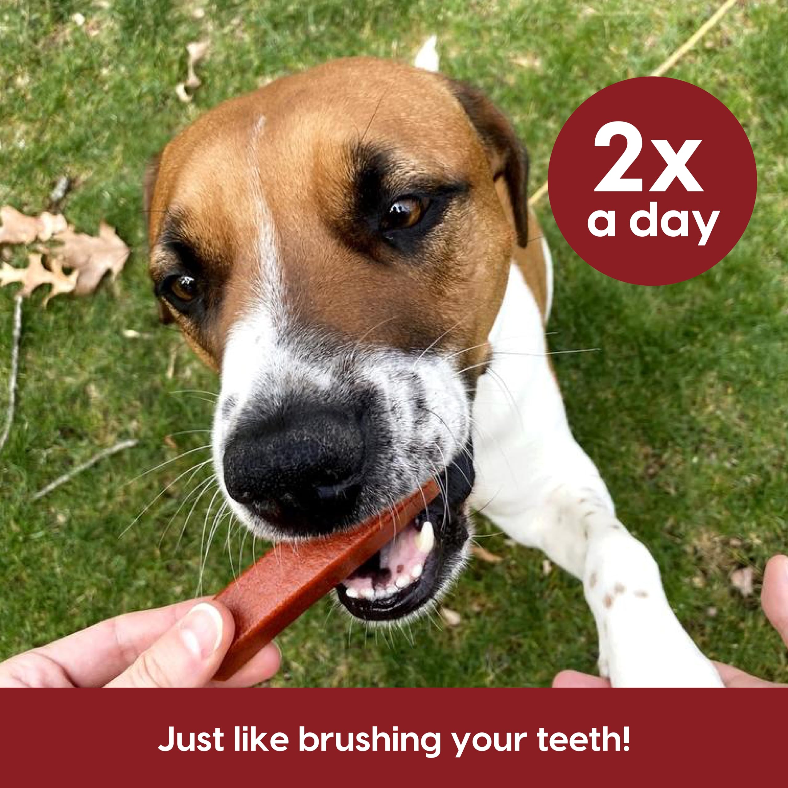 Ark Naturals Protection+ emballage pratique sachet de 1,5 kg