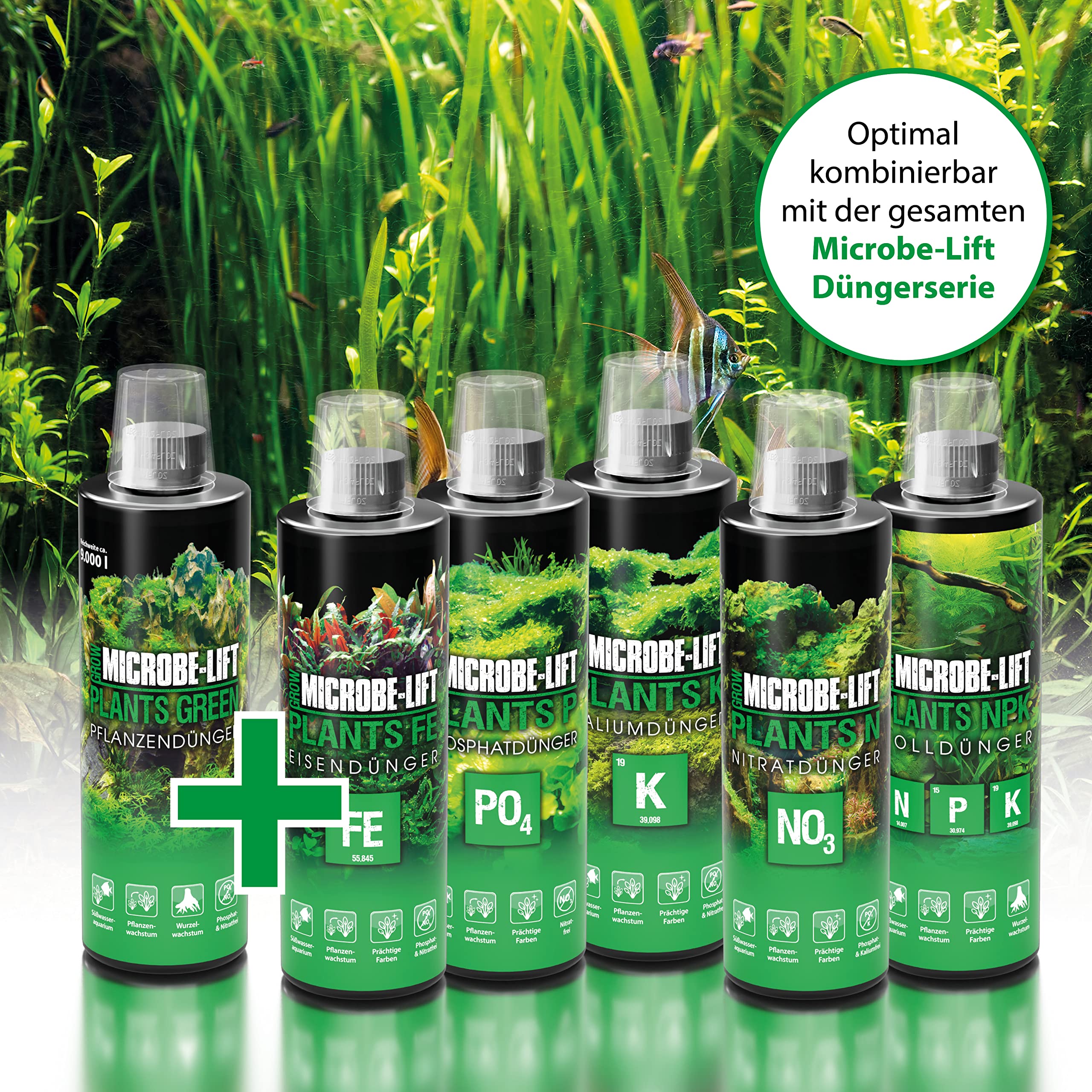 ARKA MICROBE-LIFT: avant/après des plantes aquatiques avec amélioration visible.