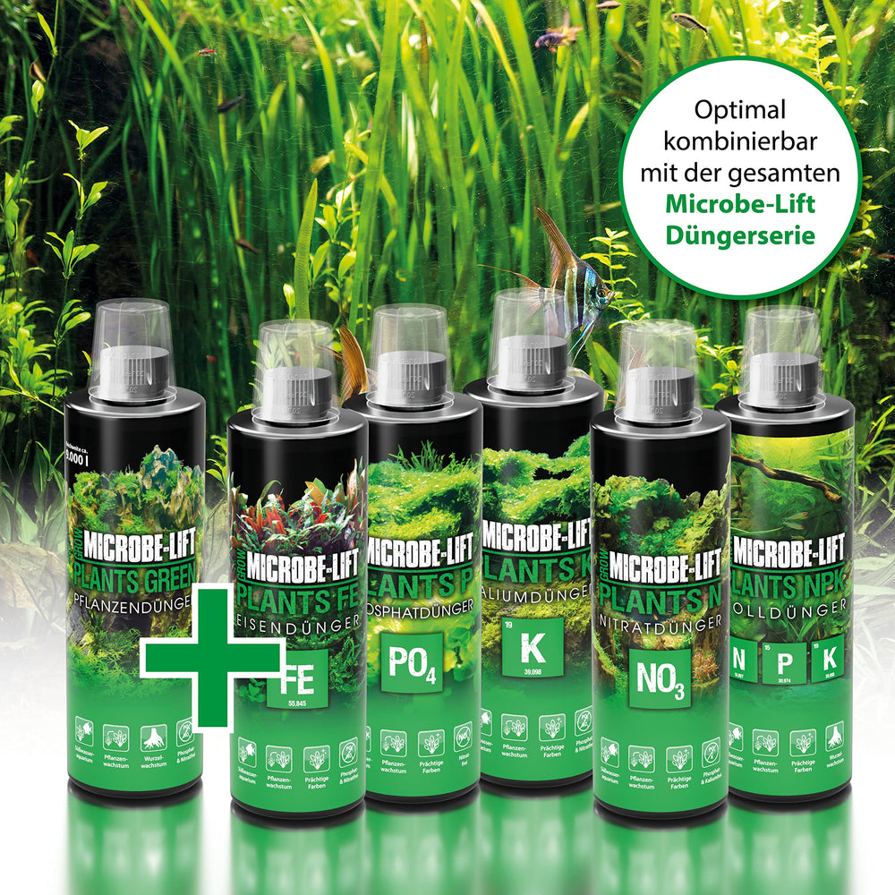 ARKA MICROBE-LIFT: avant/après des plantes aquatiques avec amélioration visible.