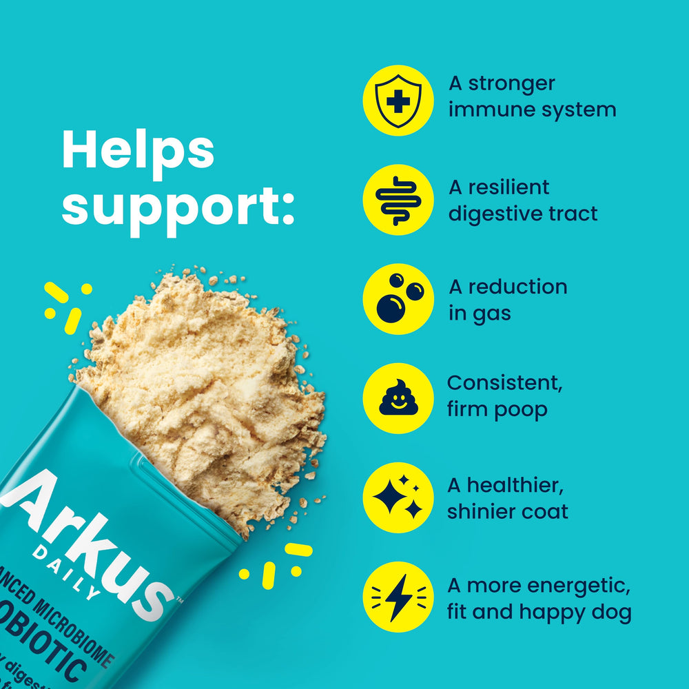 ARKUS Daily Probiotique – chien actif, utilisation quotidienne possible.