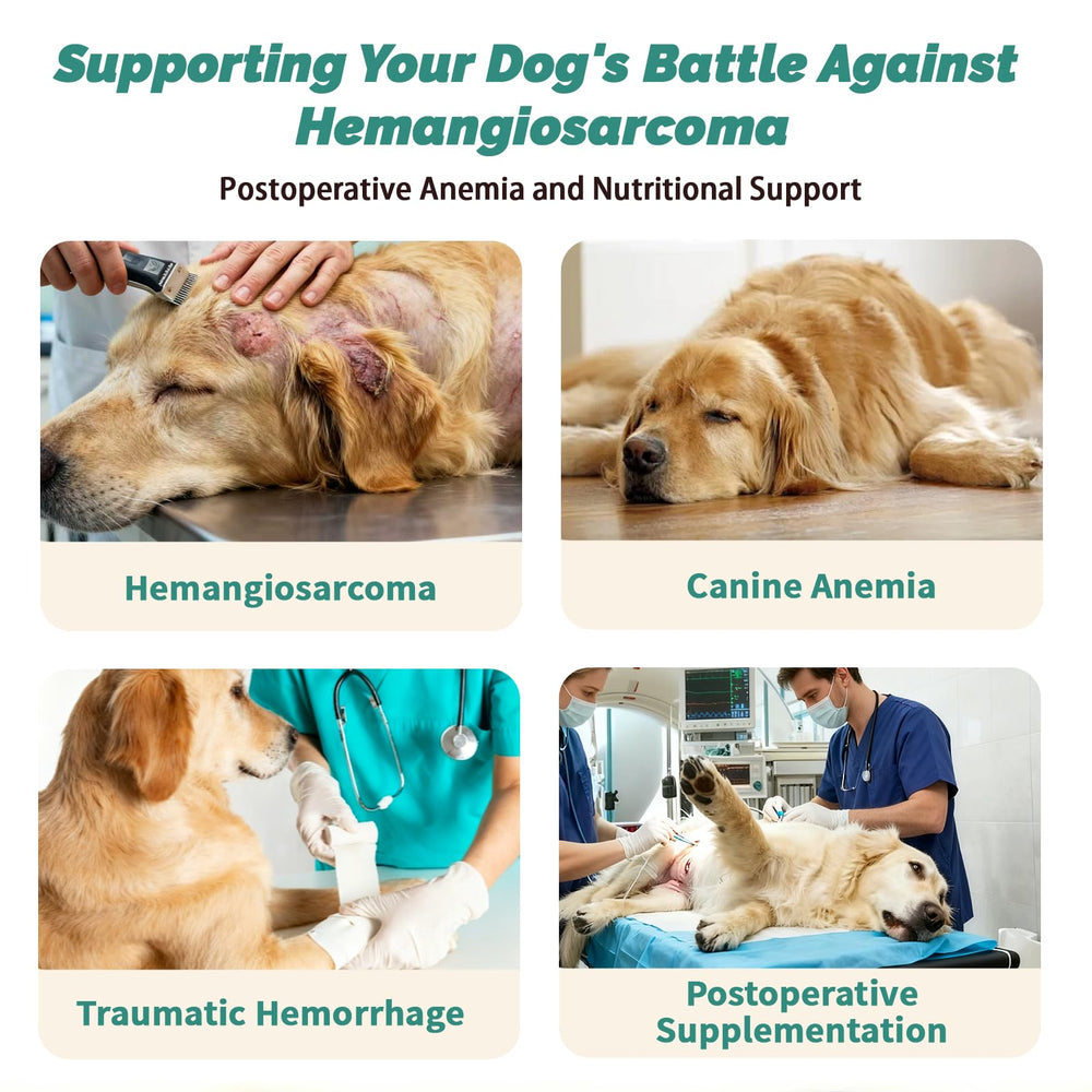 Arlistatmax Yunnan Sanqi, capsules en gros plan, administration facile dans les repas.