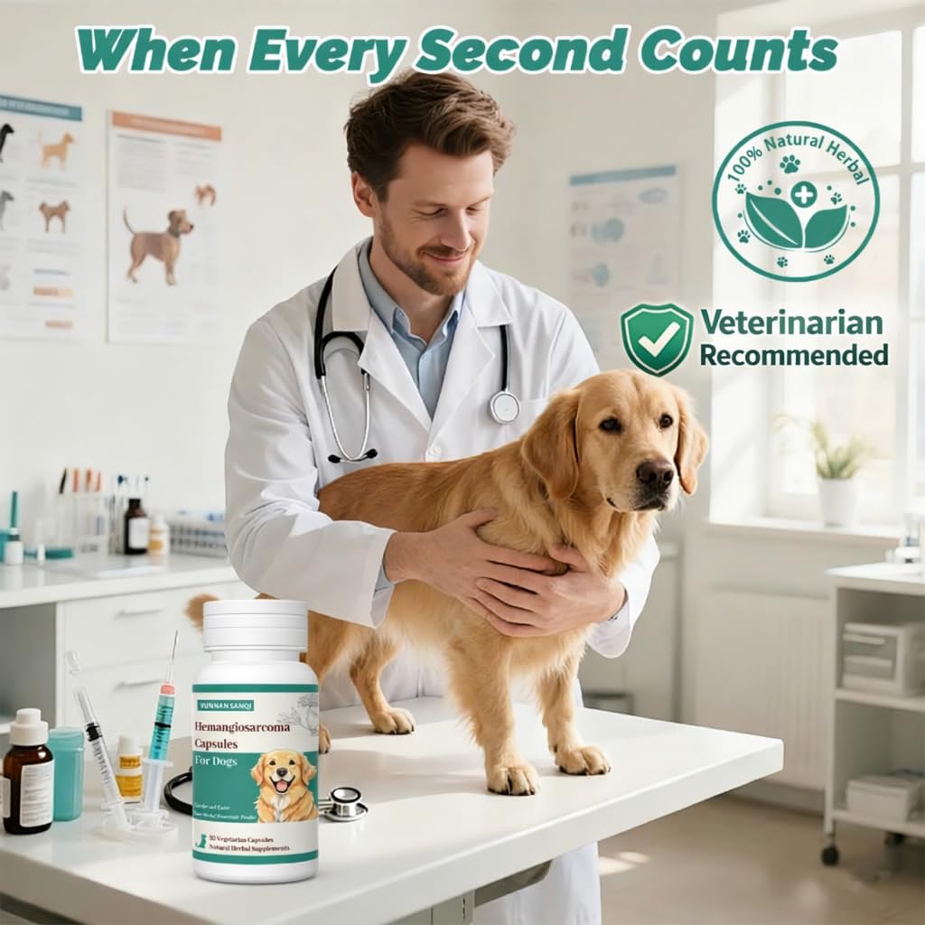 Chien et propriétaire heureux, routine douce avec Arlistatmax.