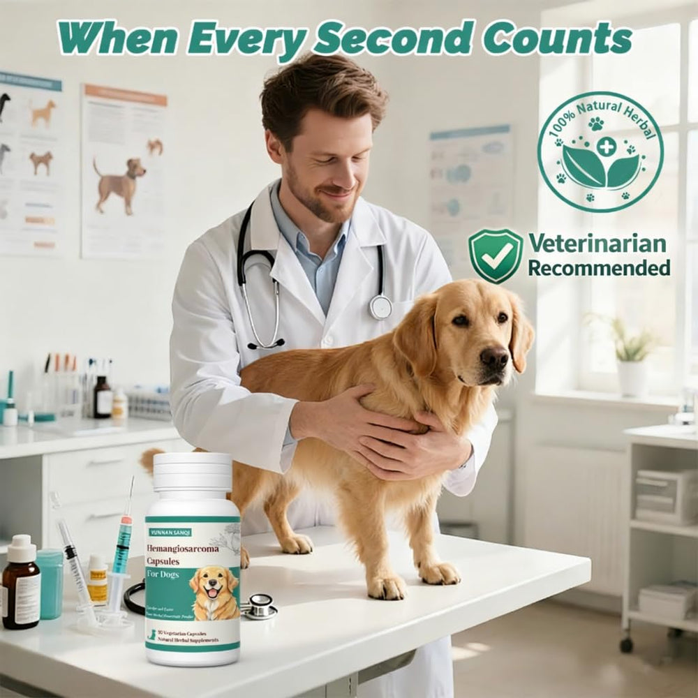 Chien et propriétaire heureux, routine douce avec Arlistatmax.