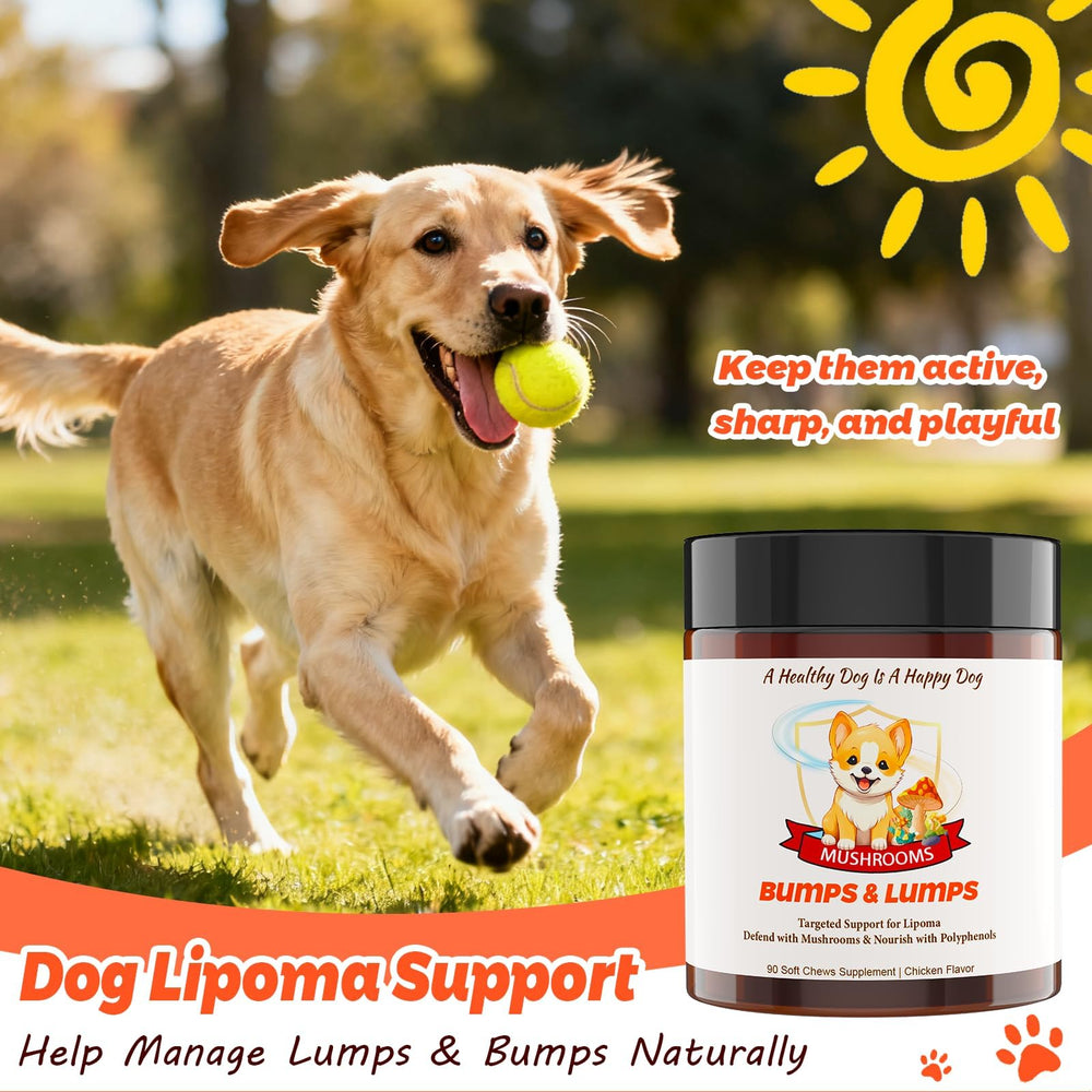arlistatmax complexe 7 champignons chien: énergie et vitalité immunitaire