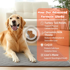 arlistatmax curcumine chardon-marie chien: antioxydant et peau claire