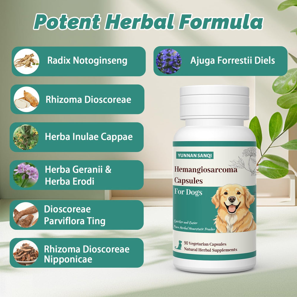 Arlistatmax Yunnan Sanqi, ingrédients herboristes, mélange naturel pour le soutien vasculaire.