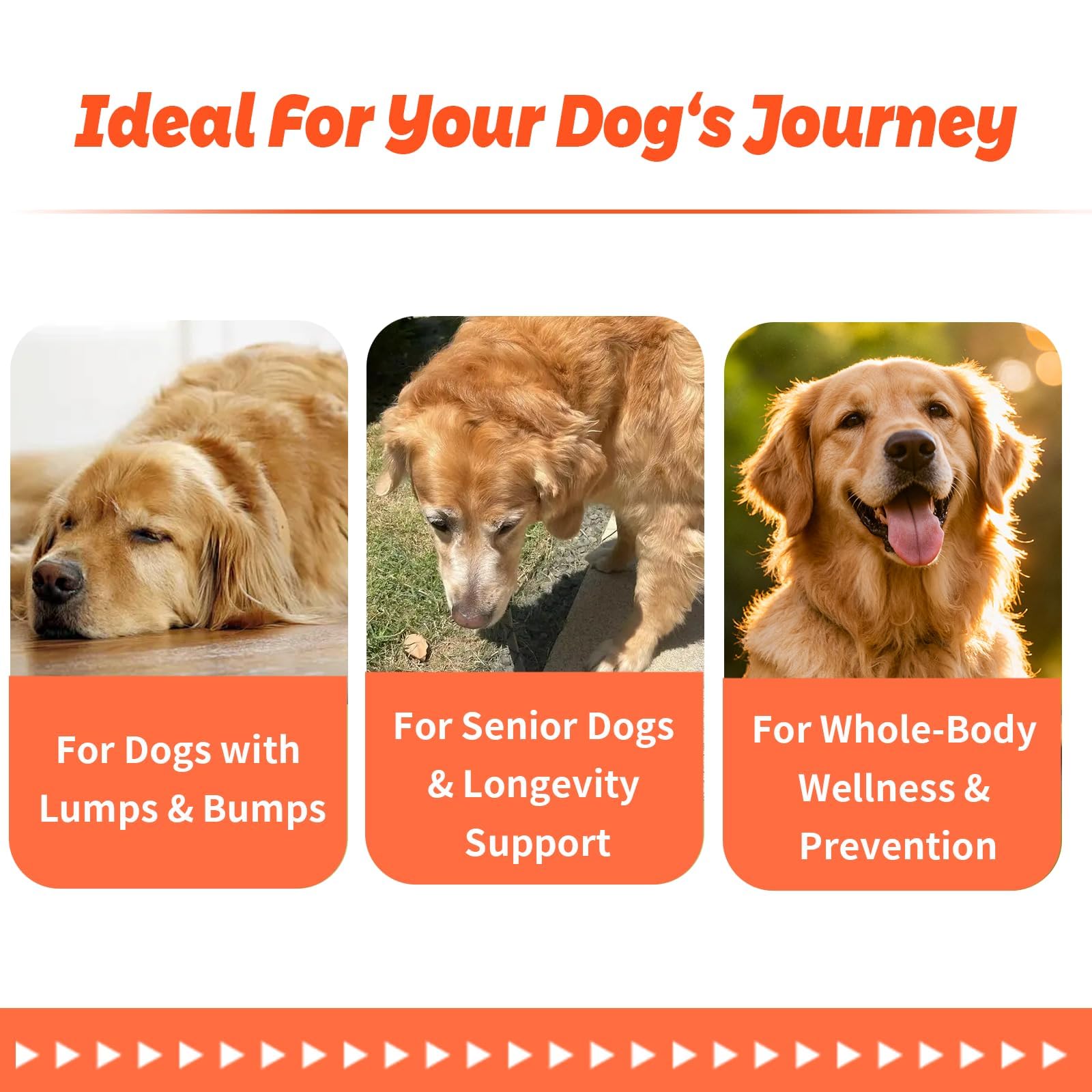 arlistatmax levure-de-biere chien: nutriments et peau saine