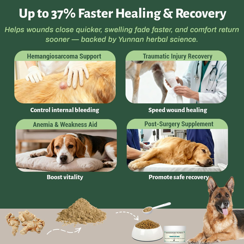 Arlistatmax Poudre Sanqi: dosage précis et économique pour chiens